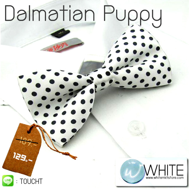 Dalmatian Puppy - หูกระต่าย สีขาว ลายจุดดำ เล็ก รูปที่ 1