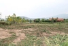 รูปย่อ SALE ที่ดินจัดสรรแม่เหียะ ใกล้พืชสวนโลก ราคาคุ้มๆ รูปที่2