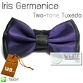 Iris Germanica Two-tone Tuxedo - หูกระต่ายสองสี สีม่วงเข้ม พื้นสีดำ 3 จีบ เนื้อผ้าผิวมัน เรียบ