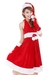 รูปย่อ พร้อมส่งชุดแซนตี้ผู้หญิง ชุดกระต่ายซานต้า สีแดงสดใส ราคาถูก รูปที่6