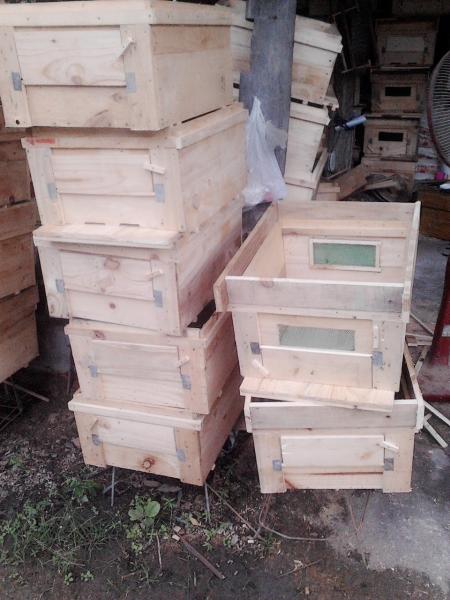 1.ขายอุปกรณ์เลี้ยงผึ้งBeeนมผึ้งราคาถูกชุดกันผึ้งแผ่นรังเทียมผึ้งโทร0966263654 รูปที่ 7