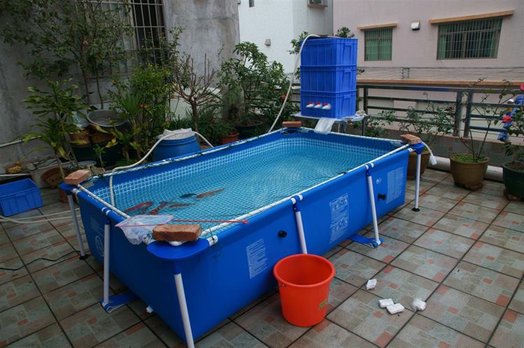 1.ขายสระน้ำเป่าลมสระน้ำสำเร็จรูป Poolสระเด็ก สระว่ายน้ำสำเร็จรูปโทร0966263654 รูปที่ 3