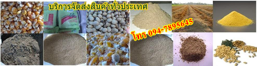 ซื้อขายกากถั่วเหลืองปลากุ้งป่นถั่วมันเส้นข้าวโพดรำอาหารสัตว์โทร0947895645 รูปที่ 4