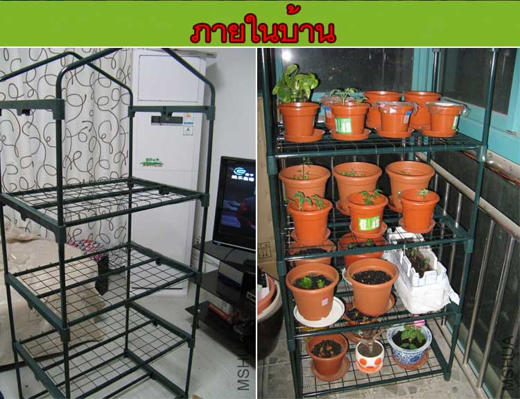 ขายโรงเรือนเพาะเห็ดโรงเรือนกล้วยไม้โรงเรือนกระจกโรงปลูกผักโทร0966263654 รูปที่ 5