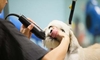 รูปย่อ โปรโมชั่น แบตเตอร์เลี่ยนตัดขนหมา อุปกรณ์หมา ราคาถูกที่สุด รูปที่1