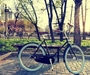 รูปย่อ โปรโมชั่น จักรยานคลาสสิค จักยาน classic ราคาพิเศษ รูปที่1