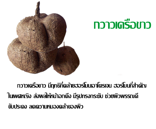 + + แก้ทุกปัญหาในท่านสุภาพสตรี ต้องสมุนไพร ตรา นารีทิพย์ สูตรสมุนไพรที่ดีที่สุดคุณภาพเต็มเหนี่ยว ไม่ดีเราไม่ขาย + + รูปที่ 6