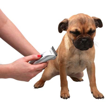 SALE บัตเตอร์เลี่ยนตัดขนสุนัข เครื่องตัดขนหมา ราคาประหยัด รูปที่ 1