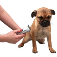 SALE บัตเตอร์เลี่ยนตัดขนสุนัข เครื่องตัดขนหมา ราคาประหยัด