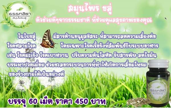 สมุนไพรขลู่ วัตถุดิบธรรมชาติ 100 เปอร์เซ็นต์ ลดน้ำหนักกำจัดไขมันส่วนเกิน ดีท็อก รูปที่ 3