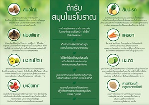 แนะนำอาหารเสริมต้านมะเร็ง สมุนไพรต้านมะเร็ง อาหารเสริมป้องกันมะเร็ง CA herbal รูปที่ 3