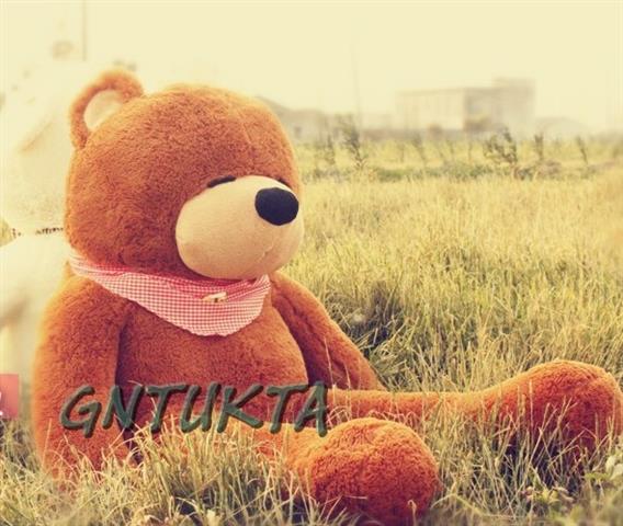 จำหน่าย ตุ๊กตาหมีไซร์พิเศษ ตัวใหญ่เท่าคน ราคาถูก จากโรงงานโดยตรง รูปที่ 3