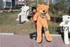 รูปย่อ จำหน่าย ตุ๊กตาหมีไซร์พิเศษ ตัวใหญ่เท่าคน ราคาถูก จากโรงงานโดยตรง รูปที่4