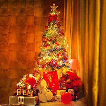 ขายด่วน christmastree แหล่งซื้อต้นคริสต์มาส ราคามิตรภาพ รูปที่ 4