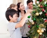 รูปย่อ ขายด่วน christmastree แหล่งซื้อต้นคริสต์มาส ราคามิตรภาพ รูปที่2