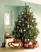 รูปย่อ ขายด่วน christmastree แหล่งซื้อต้นคริสต์มาส ราคามิตรภาพ รูปที่3