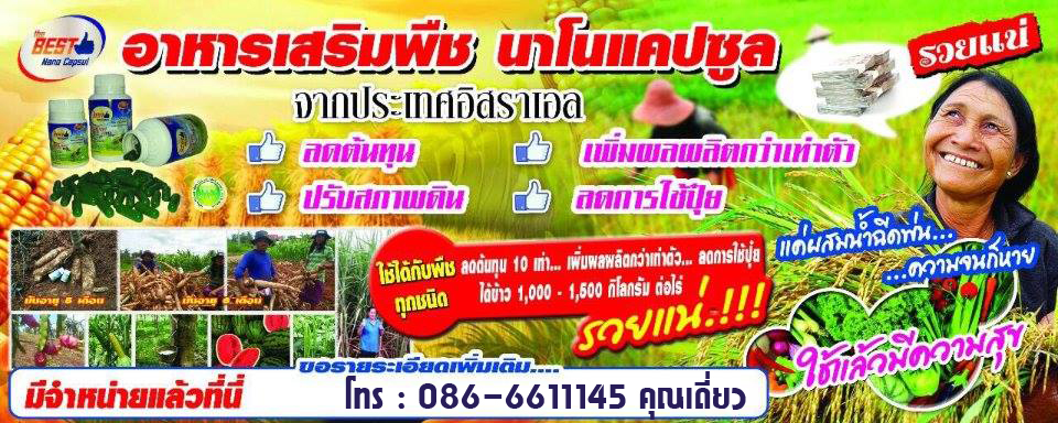 อาหารเสริมพืช เดอะเบสท์นาโนแคปซูล ขนาด 60 แคปซูล ช่วยลดต้นทุน เพิ่มผลผลิต ปรับสภาพดิน สั่งซื้อโทร 0866611145 รูปที่ 6