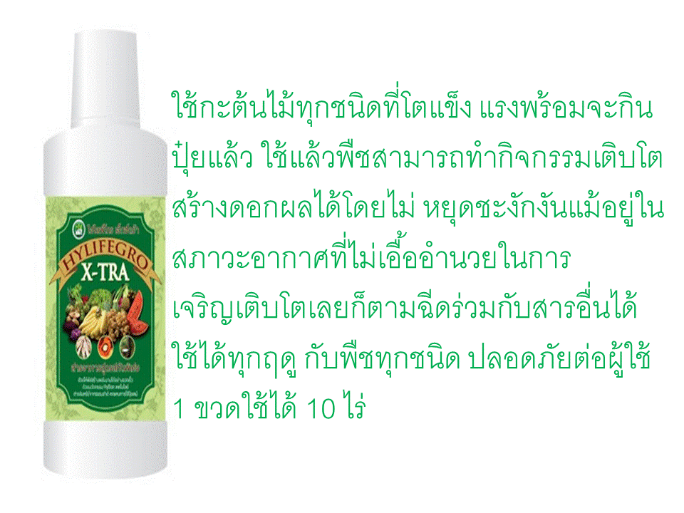 ไฮไลฟ์โกร เอ็กตร้า ปุ๋ยน้ำคุณภาพดีที่สุด ที่คุณไม่ควรพลาด รูปที่ 2
