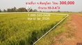 ประกาศขายที่ดิน 10 ไร่ บึงพระ พิษณุโลก ติดถนน  เหมาะทำการเกษตร ไร่ละ 300,000