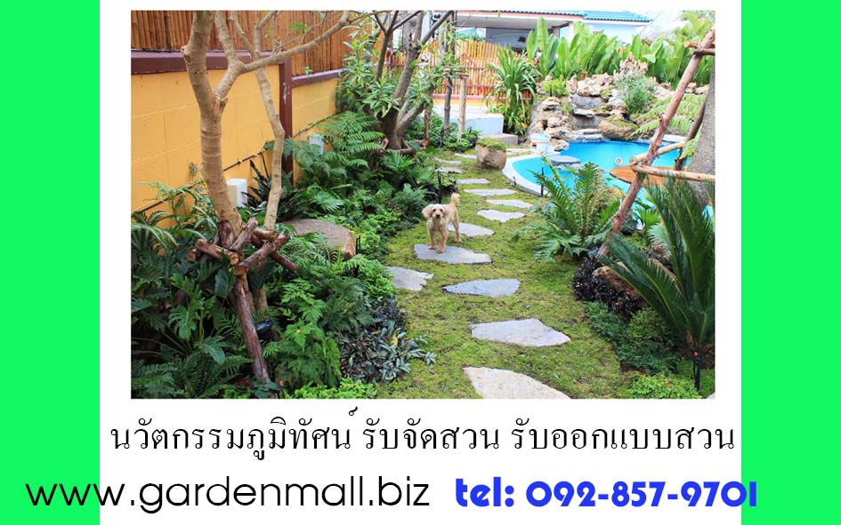 รับจัดสวน ออบแบบสวน ปูหญ้าเทียม งานสวนทุกประเภท-Gardenmall รูปที่ 4