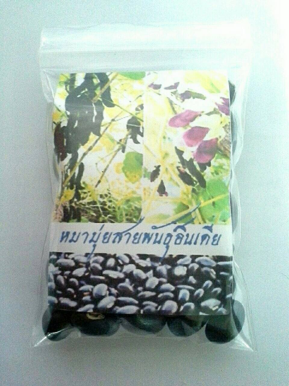 จำหน่ายเมล็ดพันธุ์หมามุ่ยอินเดีย เมล็ดพันธุ์คัดเกรด A พร้อมปลูกครับ  เม็ดละ 4 บาท ราคาโทรสอบถามได้ครับ ให้คำปรึกษาเกี่ยว รูปที่ 7