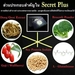 รูปย่อ Secret Plus ซีเครท พลัส กล่องดำ ของแท้ ราคาถูก รูปที่6