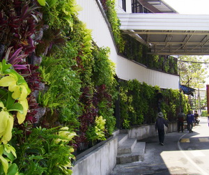 รับจัดสวนแนวตั้ง (Vertical Garden) รูปที่ 4