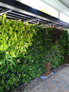รับจัดสวนแนวตั้ง (Vertical Garden) รูปที่ 3