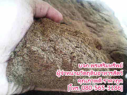 จำหน่ายวัตถุดิบอาหารสัตว์หลายชนิด รำ กากปาล์ม กากมัน คุณภาพดี ราคาถูก 0805653186 รูปที่ 4