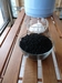 รูปย่อ Carbon Molecular Sieve ถ่านดูดกลิ่นประสิทธิภาพสูง รูปที่2