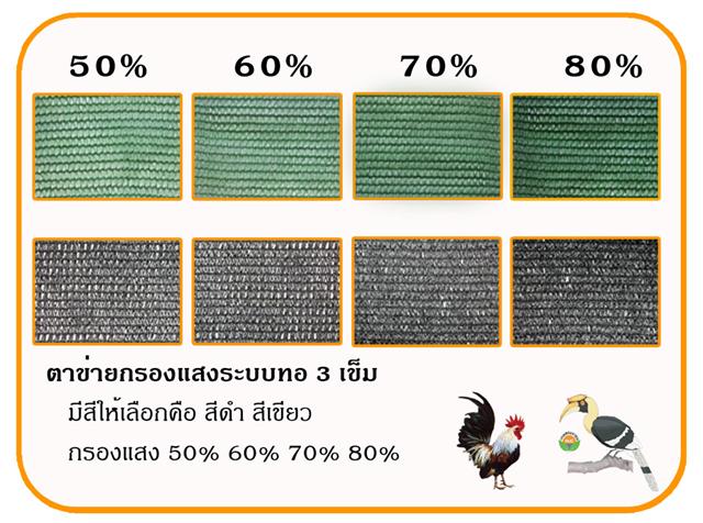 M-Group สแลน สีเขียว สีดำ ตาข่ายกรองแสง สแลนบังแดด มุ้งเขียว มุ้งดำ รูปที่ 7