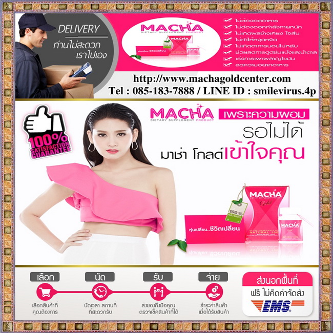 MACHA Gold : มาช่า โกลด์ ลดน้ำหนักอันดับหนึ่ง ระเบิดไขมัน ลดการดื้อยา ไม่มีผลข้างเคียง เห็นผลจริง หยุดแล้วไม่โยโย่ รูปที่ 1