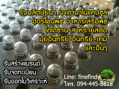 รับผลิตแคปซูลนาโน,อาหารเสรืมพืช,ปุ๋ยนาโนแคปซูล รูปที่ 2