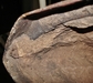 รูปย่อ พระเชียงแสนสิงห์หนึ่งหน้าตัก 9 นิ้วฐานบัวดินเก่าๆเนื้อสัมฤทธิ์แก่ทองสนิมสวยอายุกว่า700กว่าปี รูปที่7