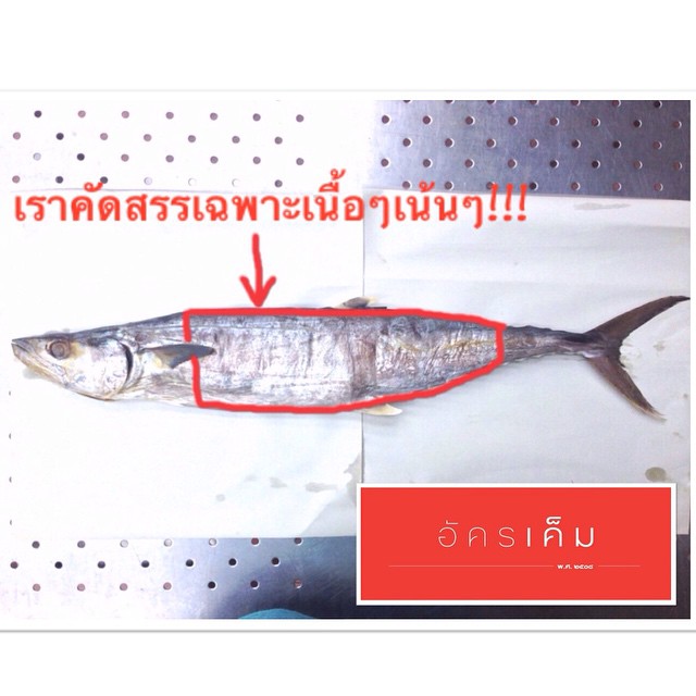 ปลาอินทรีเค็ม เกรดพรีเมี่ยม ปลอดสารเคมี จัดส่งฟรีทั่วประเทศไทย รูปที่ 3