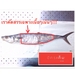 รูปย่อ ปลาอินทรีเค็ม เกรดพรีเมี่ยม ปลอดสารเคมี จัดส่งฟรีทั่วประเทศไทย รูปที่3
