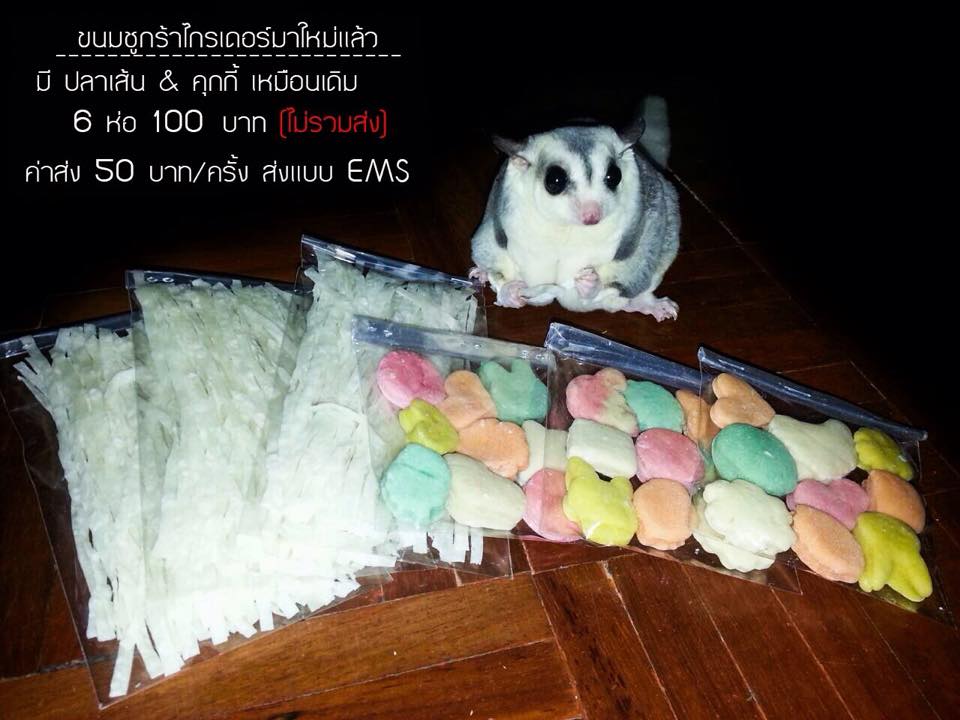 ขนมคุ๊กกี้ ปลาเส้นสำหรับสัตว์เล็ก ๆ หนู  ชูกร้าไกลเดอร์ รูปที่ 2