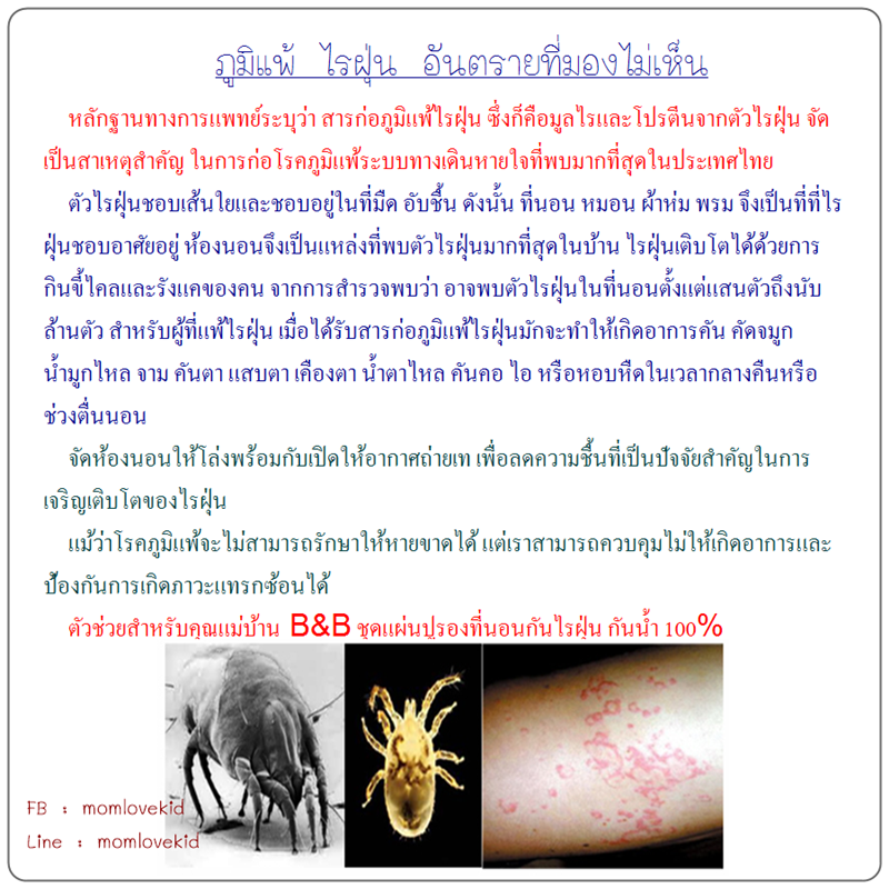 ผ้าปูรองกันน้ำ กันฉี่ กันเปื้อน กันคราบเหงื่อไคล กันไรฝุ่น รูปที่ 5
