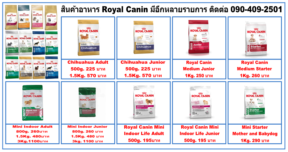 รับอาบน้ำ ฝากเลี้ยง-จำหน่ายอาหาร และอุปกรณ์สัตว์เลี้ยง (ยินดีรับบัตรเครดิตทุกธนาคาร) รูปที่ 6
