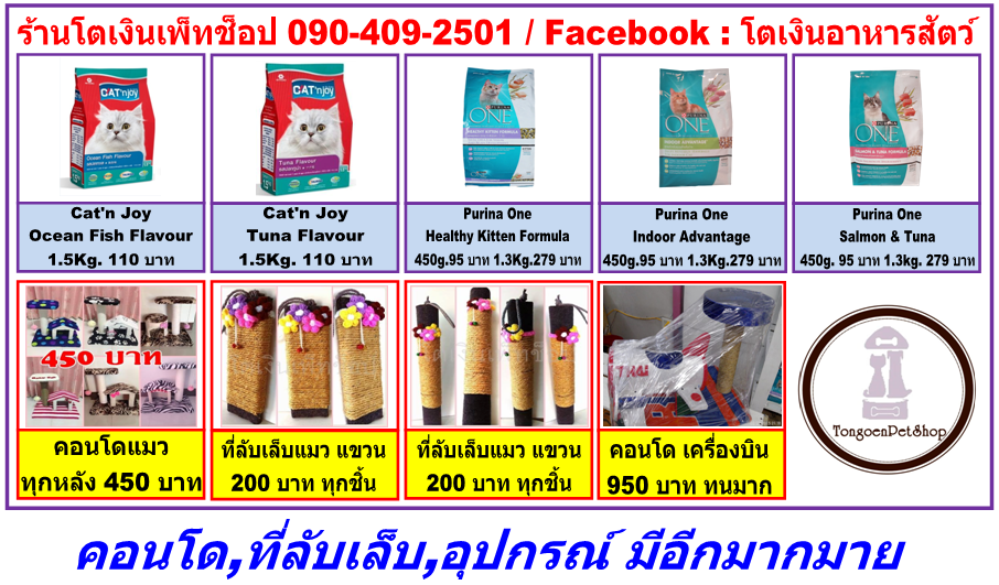 รับอาบน้ำ ฝากเลี้ยง-จำหน่ายอาหาร และอุปกรณ์สัตว์เลี้ยง (ยินดีรับบัตรเครดิตทุกธนาคาร) รูปที่ 5