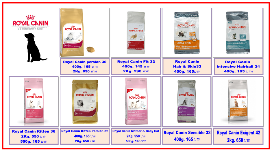 รับอาบน้ำ ฝากเลี้ยง-จำหน่ายอาหาร และอุปกรณ์สัตว์เลี้ยง (ยินดีรับบัตรเครดิตทุกธนาคาร) รูปที่ 4