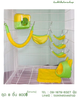 ขายอุปกรณ์สัตว์เลี้ยง บ้าน ที่นอน ของใช้ ของเล่น อาหาร ขนม ของ Sugar Gliders รูปที่ 2