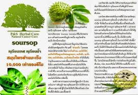 ต้นทุเรียนน้ำ รูปที่ 2