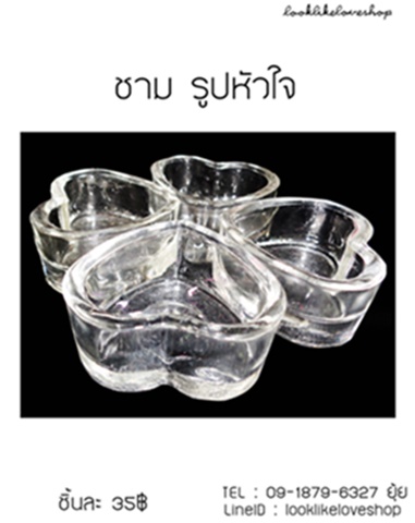 จาน ชาม 3 หลุม ใส่อาหารผลไม้สัตว์เลี้ยงSugar Gliders รูปที่ 2