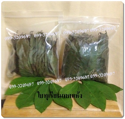 ใบทุเรียนเทศผึ่งลมแห้ง ปลอดภัยไร้สารเคมี ราคาไม่แพงส่งฟรีค่ะ รูปที่ 2