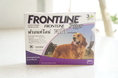 Frontline Plus (สุนัขน้ำหนัก 20-40 kg.)