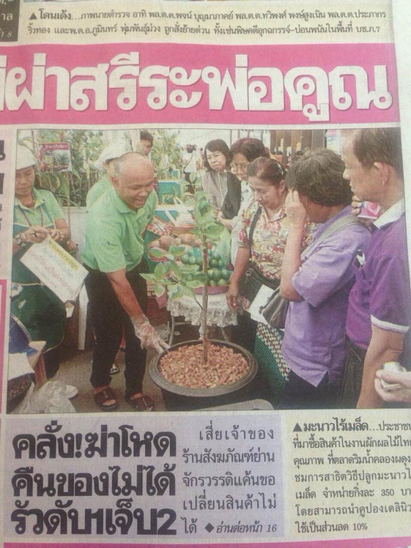 ขายกิ่งพันธุ์มะนาว แคลิฟอร์เนีย จาอเมริกา ด่วนมีจำนวนจำกัด !!! รูปที่ 3