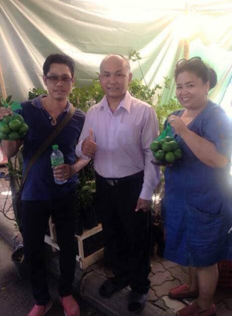 ขายกิ่งพันธุ์มะนาว แคลิฟอร์เนีย จาอเมริกา ด่วนมีจำนวนจำกัด !!! รูปที่ 2