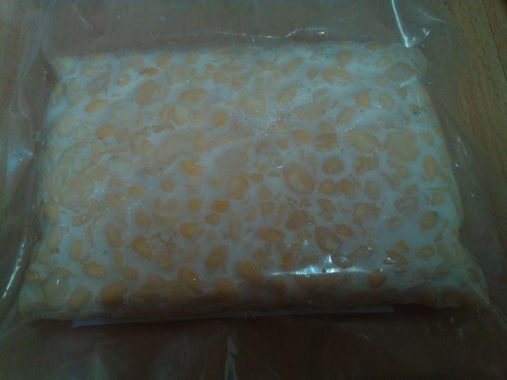 จำหน่ายเทมเป้สด (homemade tempeh) รูปที่ 3