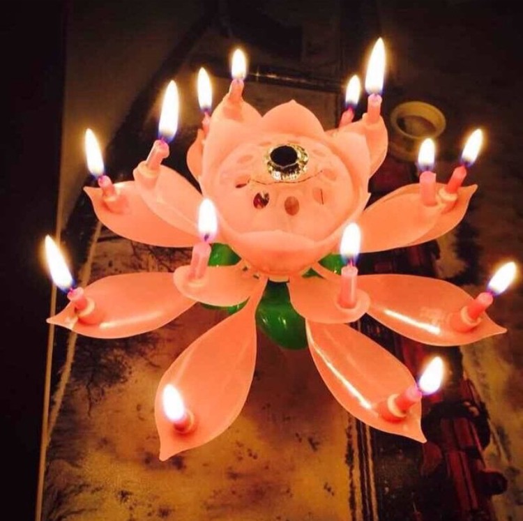 เทียนวันเกิดสุดพิเศษ รูปที่ 7